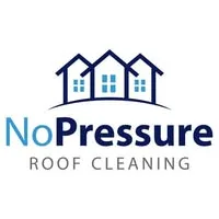 No Pressure Roof Cleaning logo